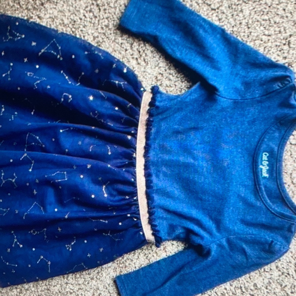 Cat & jack dress